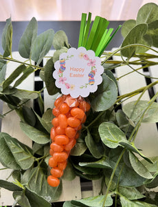 EASTER CARROTS 2024