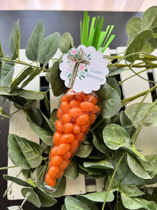 EASTER CARROTS 2024