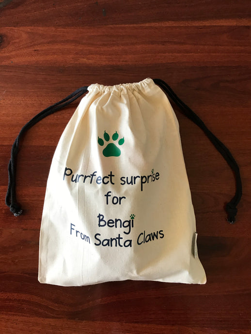 CAT TREAT CHRISTMAS -BAG ONLY