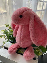 Load image into Gallery viewer, PLUSH BUNNIES